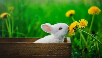 金沙娱乐城官网|跑步赛事v4.5.9